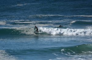 Eris riding the 6'6 Simon Anderson Heritage surfboard